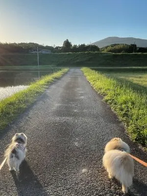スピード対応と柔軟なご提案